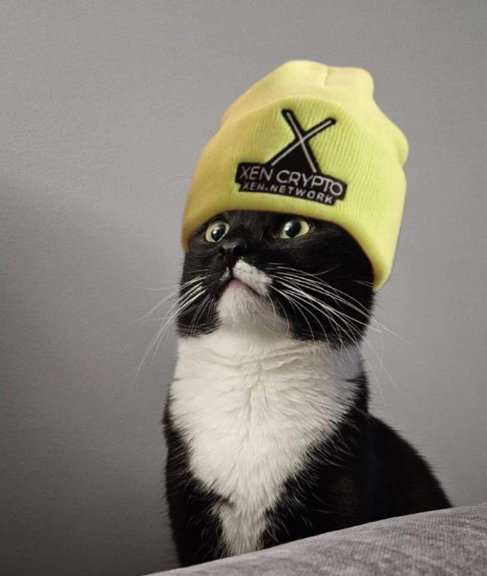 xencat